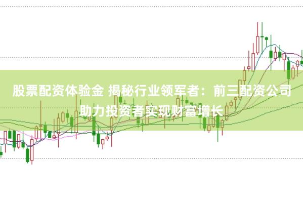 股票配资体验金 揭秘行业领军者：前三配资公司助力投资者实现财富增长