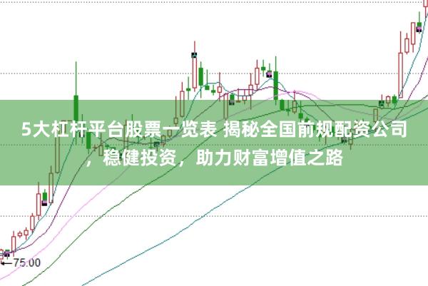 5大杠杆平台股票一览表 揭秘全国前规配资公司，稳健投资，助力财富增值之路