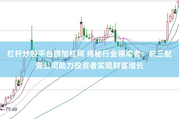 杠杆炒股平台搜加杠网 揭秘行业领军者：前三配资公司助力投资者实现财富增长