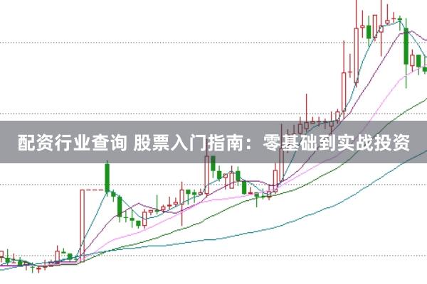 配资行业查询 股票入门指南：零基础到实战投资