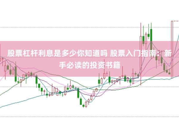股票杠杆利息是多少你知道吗 股票入门指南：新手必读的投资书籍