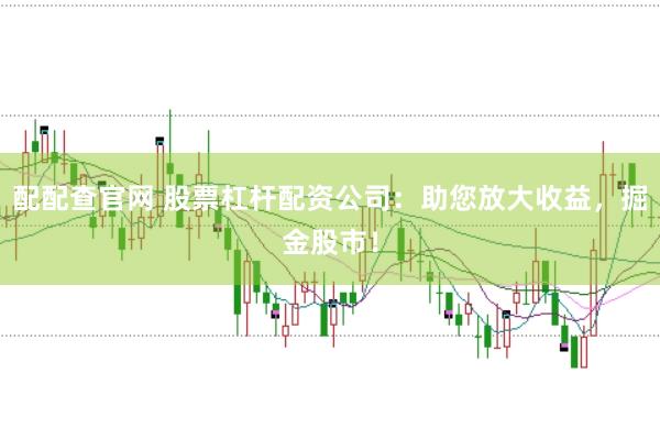配配查官网 股票杠杆配资公司：助您放大收益，掘金股市！