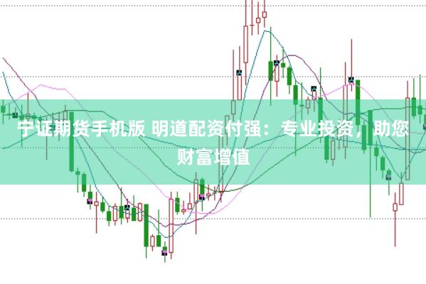 宁证期货手机版 明道配资付强：专业投资，助您财富增值