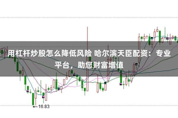 用杠杆炒股怎么降低风险 哈尔滨天臣配资：专业平台，助您财富增值