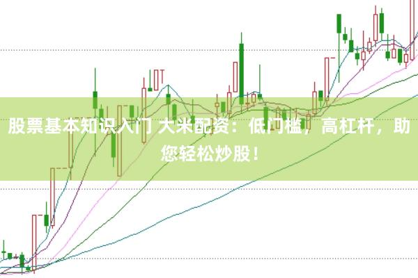 股票基本知识入门 大米配资：低门槛，高杠杆，助您轻松炒股！