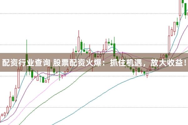 配资行业查询 股票配资火爆：抓住机遇，放大收益！