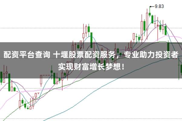 配资平台查询 十堰股票配资服务，专业助力投资者实现财富增长梦想！