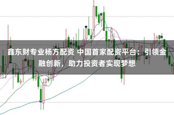 鑫东财专业杨方配资 中国首家配资平台：引领金融创新，助力投资者实现梦想