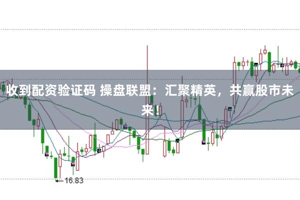 收到配资验证码 操盘联盟：汇聚精英，共赢股市未来！