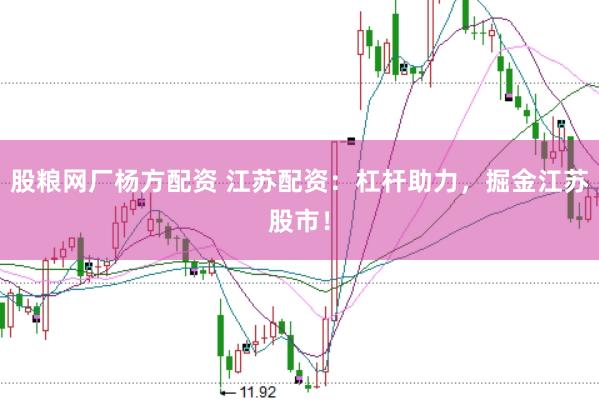 股粮网厂杨方配资 江苏配资：杠杆助力，掘金江苏股市！
