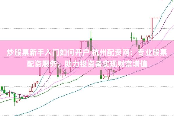 炒股票新手入门如何开户 杭州配资网：专业股票配资服务，助力投资者实现财富增值