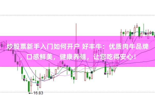 炒股票新手入门如何开户 好丰牛：优质肉牛品牌，口感鲜美，健康养殖，让您吃得安心！