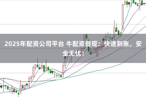 2025年配资公司平台 牛配资提现：快速到账，安全无忧！