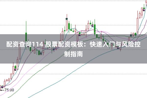 配资查询114 股票配资模板：快速入门与风险控制指南