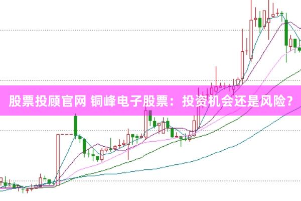 股票投顾官网 铜峰电子股票：投资机会还是风险？