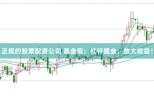 正规的股票配资公司 基金资:杠杆掘金,放大收益!