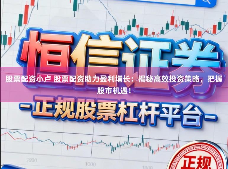 股票配资小卢 股票配资助力盈利增长:揭秘高效投资策略,把握股市机遇!